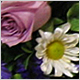 Ceremony Flowers