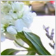 Ceremony Flowers