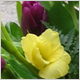 Ceremony Flowers