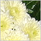 Ceremony Flowers