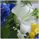 Gift Flowers