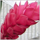 Gift Flowers