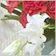 Gift Flowers