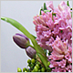 Gift Flowers