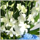 Gift Flowers