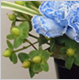 Gift Flowers