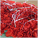 Gift Flowers