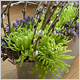 Gift Flowers