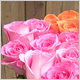Gift Flowers