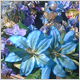 Gift Flowers