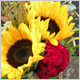 Gift Flowers