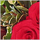 Wedding Flowers