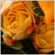 Wedding Flowers