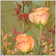 Wedding Flowers