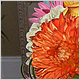 Wedding Flowers