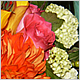 Wedding Flowers