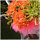 Wedding Flowers
