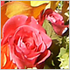 Wedding Flowers
