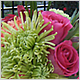 Wedding Flowers